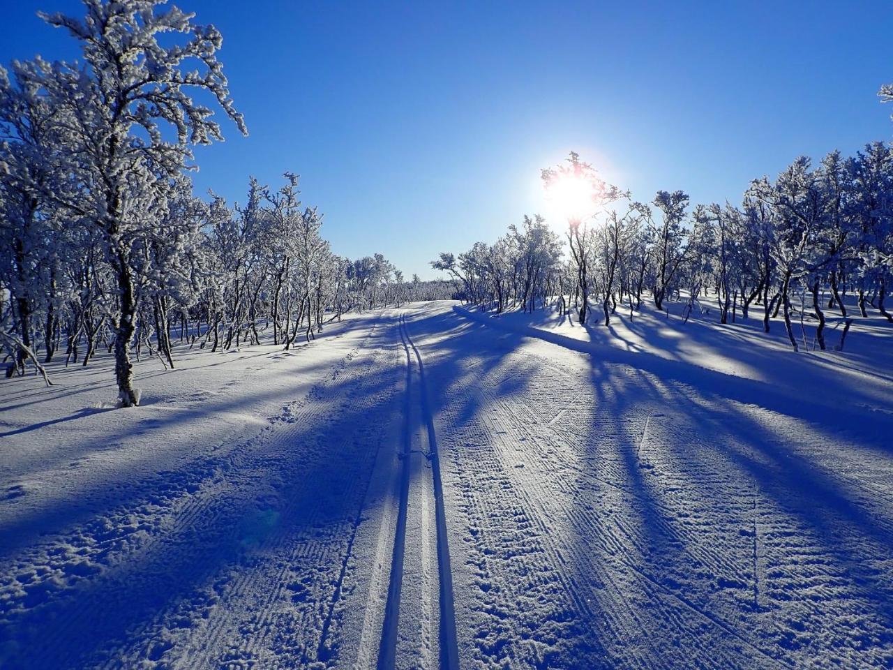 Varangertunet Arctic Resort Jakobselv Екстер'єр фото