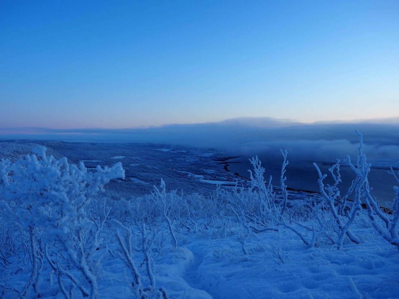 Varangertunet Arctic Resort Jakobselv Екстер'єр фото